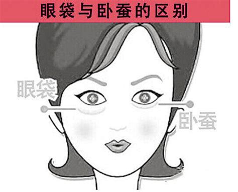 臥蠶大面相|眼苔(臥蠶):面相運勢,臥蠶與眼袋,作用,代表人物,